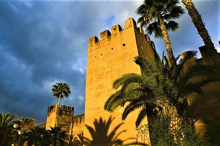 Agadir Day Trip to Taroudant & Tiout — Ramparts, Palm Oasis & Berber Village