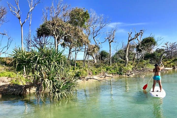 Golden Beach 1-Hour Stand-Up Paddleboard Hire — Pumicestone Passage SUP near Bribie Island photo 3