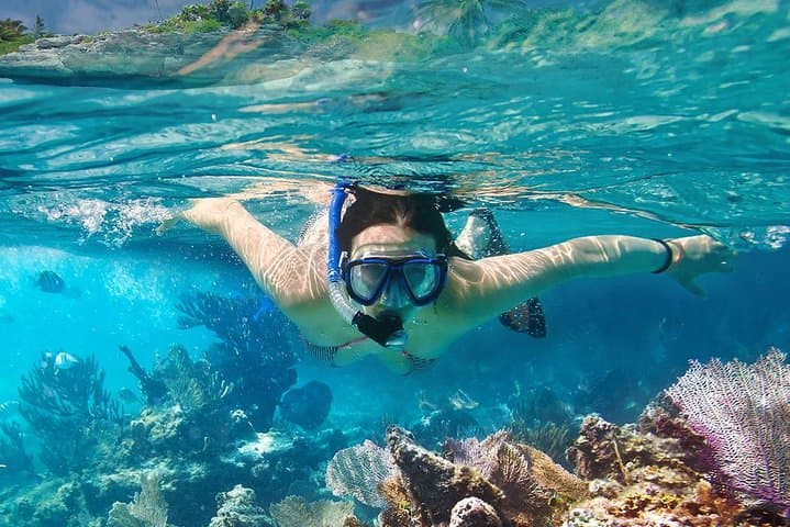 Speedboat Snorkel: Koh Tao & Koh Nangyuan Day Trip from Ko Samui photo 2