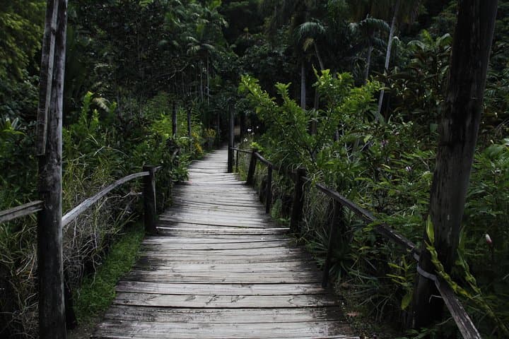 Garden of the Sleeping Giant & Sabeto Mud Pool Tour — Day Trip from Nadi photo 3