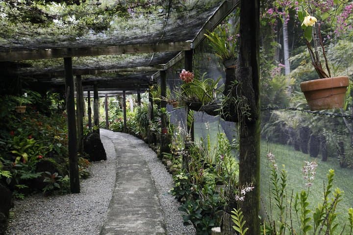 Garden of the Sleeping Giant & Sabeto Mud Pool Tour — Day Trip from Nadi photo 4