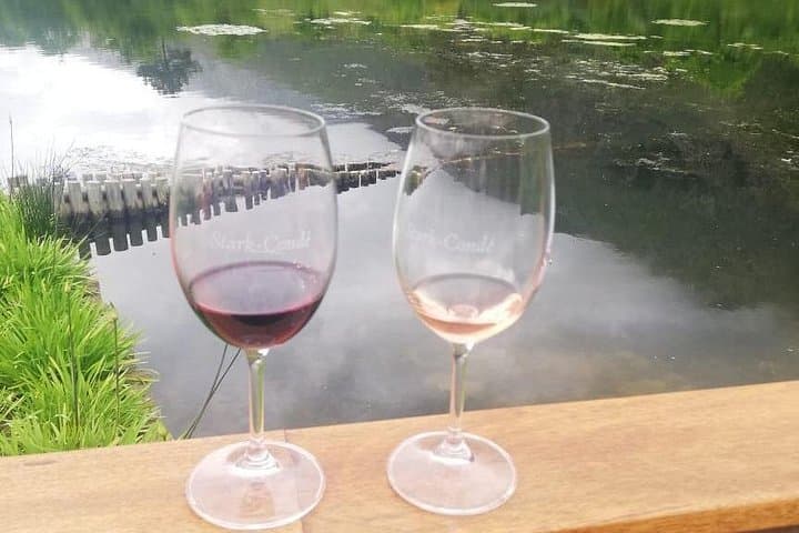 Cape Winelands Wine Tour from Cape Town — Stellenbosch, Franschhoek & Paarl Day Trip photo 4