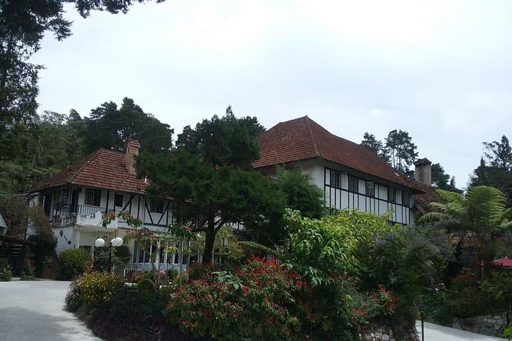 Cameron Highlands Countryside Tour: BOH Tea, Strawberry Farms & Mossy Forest photo 5
