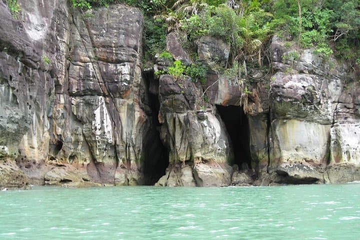 Bako National Park Day Trip from Kuching: Rainforest Trails, Beaches & Wildlife photo 4