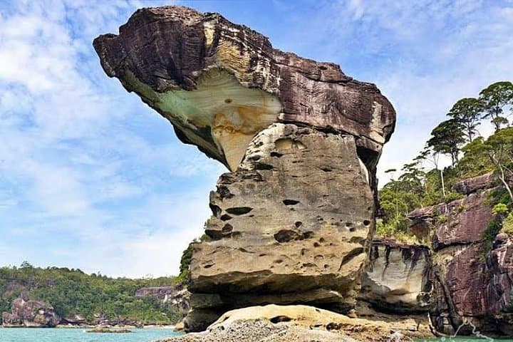 Bako National Park Day Trip from Kuching: Rainforest Trails, Beaches & Wildlife photo 6