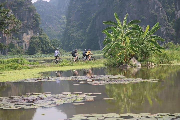 Ninh Binh & Cuc Phuong 2-Day: Tam Coc Boat, Mua Cave & Cuc Phuong Trek photo 4