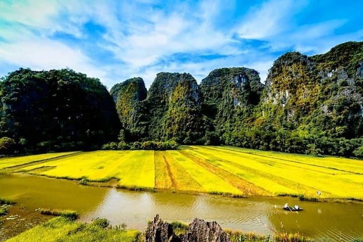 Ninh Binh & Cuc Phuong 2-Day: Tam Coc Boat, Mua Cave & Cuc Phuong Trek photo 6