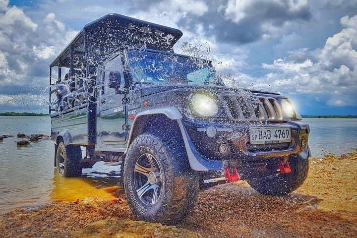 Yala Wild Adventure Safari — Full-Day Leopard Safari in Yala National Park photo 4