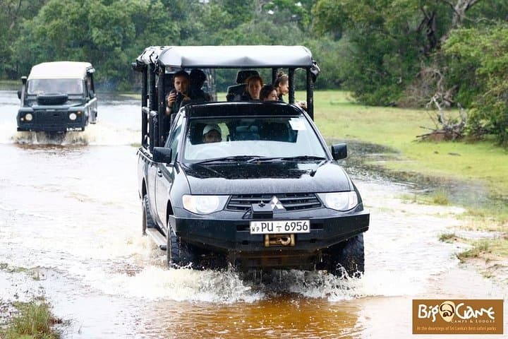 Glamping and Private Safari at Wilpattu National Park, Sri Lanka photo 1