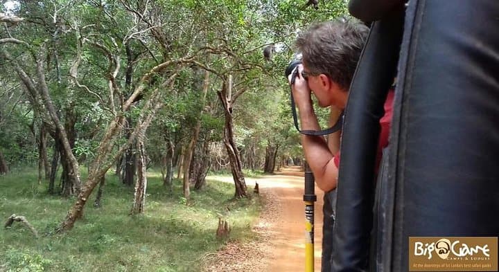 Glamping and Private Safari at Wilpattu National Park, Sri Lanka photo 2