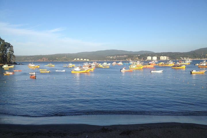 Coastal Towns of Tomé & Dichato: A Day Tour from Concepción photo 2