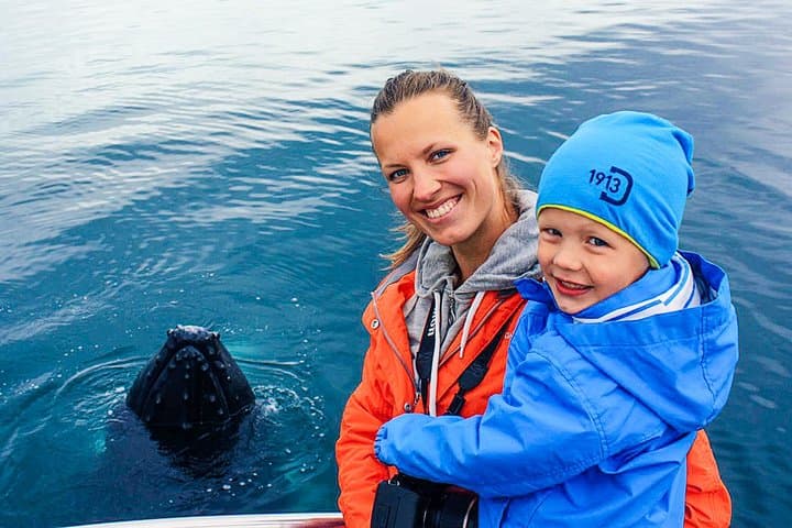 Whale Watching from Árskógssandur: Traditional Oak Boat Tours in Eyjafjörður photo 3