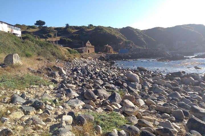 Coastal Tour: Chome, Perone Coves & Ramuntcho Beach (Hualpén) photo 6