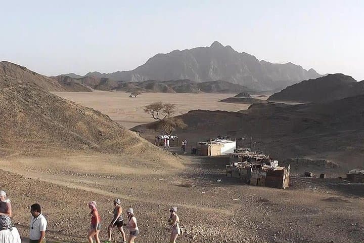Marsa Alam Desert Safari: Quad, Jeep & Bedouin Camel Experience photo 3