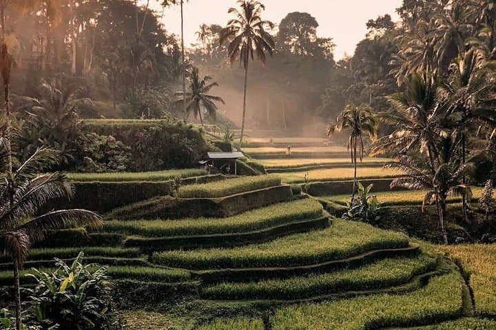 best-of-ubud-waterfalls-tegalalang-rice-terrace-swing-tour photo 3
