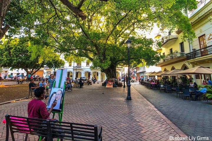 Santo Domingo Colonial Day Tour from Punta Cana — Private All-Inclusive Excursion photo 6