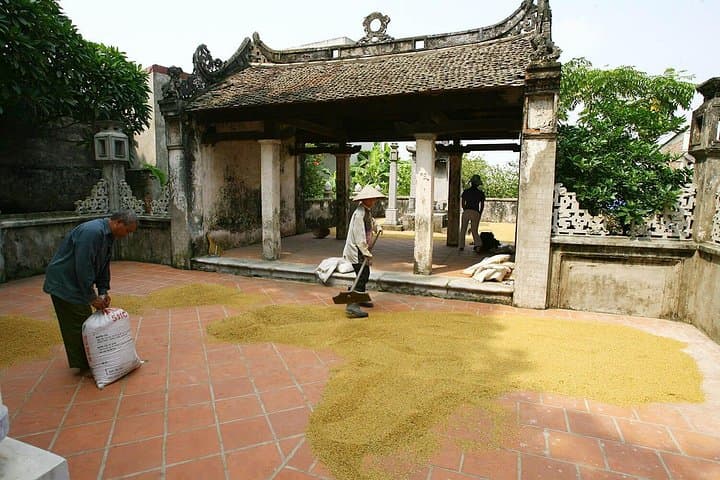 Duong Lam Ancient Village Day Trip from Hanoi — Cycling, Pagodas & Traditional Crafts