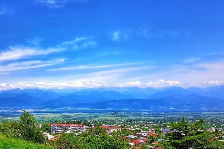 Day Trip Through Kakheti: Private Wine Region Tour from Tbilisi photo 2