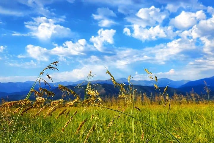 Day Trip Through Kakheti: Private Wine Region Tour from Tbilisi photo 5