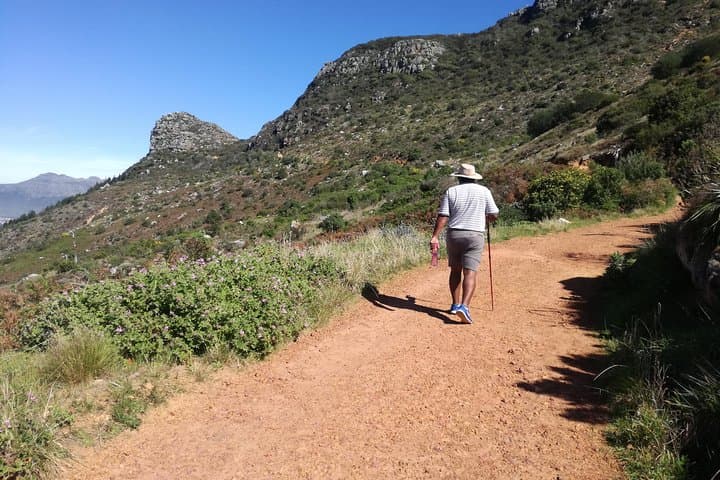 Back Table Walk on Table Mountain — Guided Hike Above Cape Town photo 2