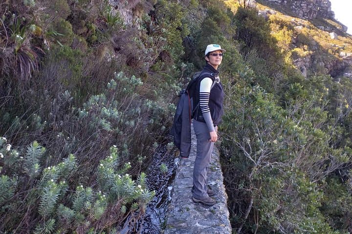 Back Table Walk on Table Mountain — Guided Hike Above Cape Town photo 4