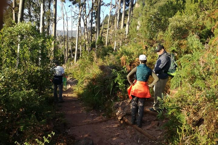 Back Table Walk on Table Mountain — Guided Hike Above Cape Town photo 6