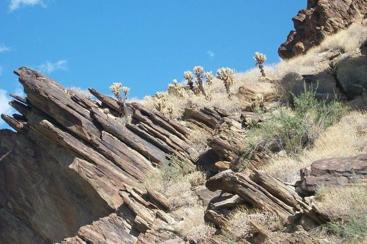 Indian Canyons Jeep Tour & Andreas Canyon Hike from Palm Springs photo 4