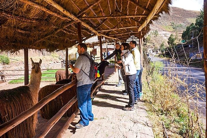 Private 1-Day Sacred Valley Tour from Cusco: Pisac, Ollantaytambo & Chinchero photo 2