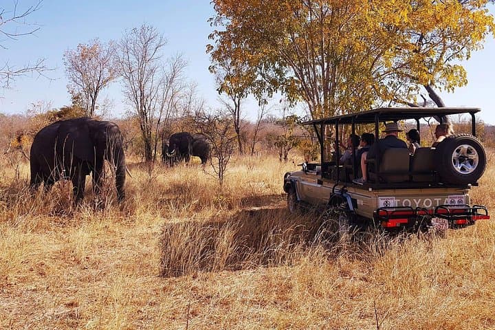 Full-Day Hwange Safari from Victoria Falls — Big Game, Birdlife & Waterhole Action