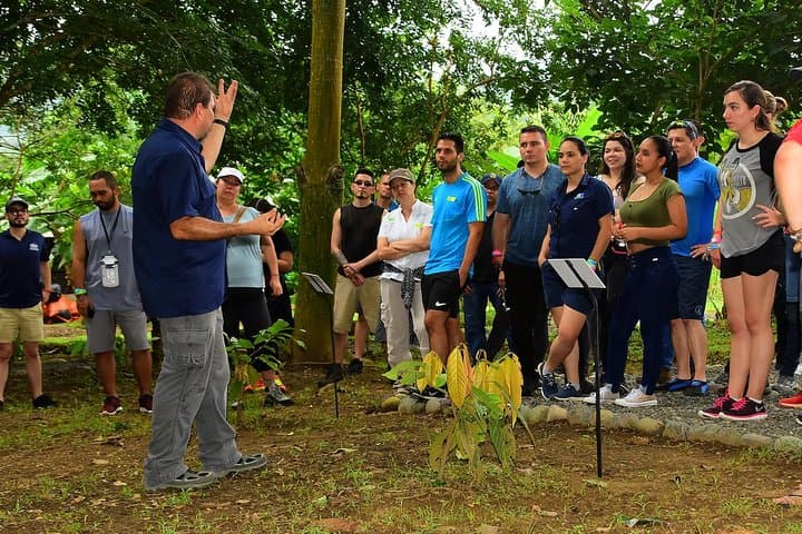Chocolate Experience in Jaco Beach and Los Suenos: Cacao Tour & Tasting photo 4