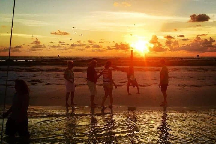 Anna Maria Island Dolphin Sunset Boat Tour: Gulf Sunset Cruise & Wildlife Viewing photo 3