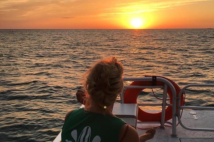 Anna Maria Island Dolphin Sunset Boat Tour: Gulf Sunset Cruise & Wildlife Viewing photo 4