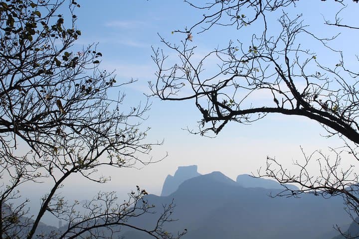 Private Tour: Tijuca Forest & Christ the Redeemer — Panoramic Views and Urban Rainforest Walk photo 2