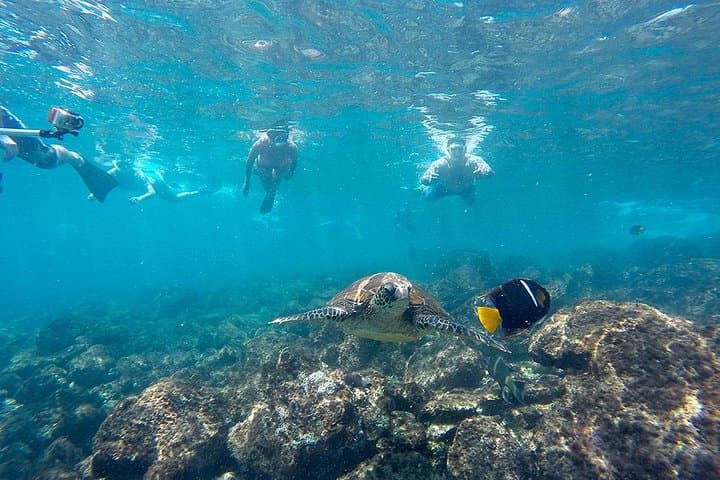 Full-Day Snorkel & Fishing Trip to Pinzón Island and La Fe/Las Palmas — Galápagos photo 2