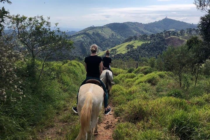 Horseback to the Belvedere: Private Picnic & Transfer from Paraty photo 2