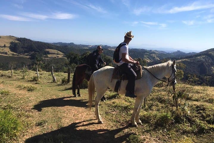 Horseback to the Belvedere: Private Picnic & Transfer from Paraty photo 3