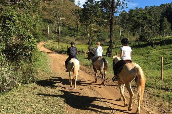 Horseback to the Belvedere: Private Picnic & Transfer from Paraty photo 4