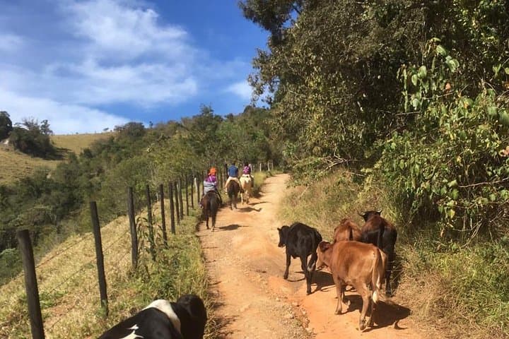 Horseback to the Belvedere: Private Picnic & Transfer from Paraty photo 5