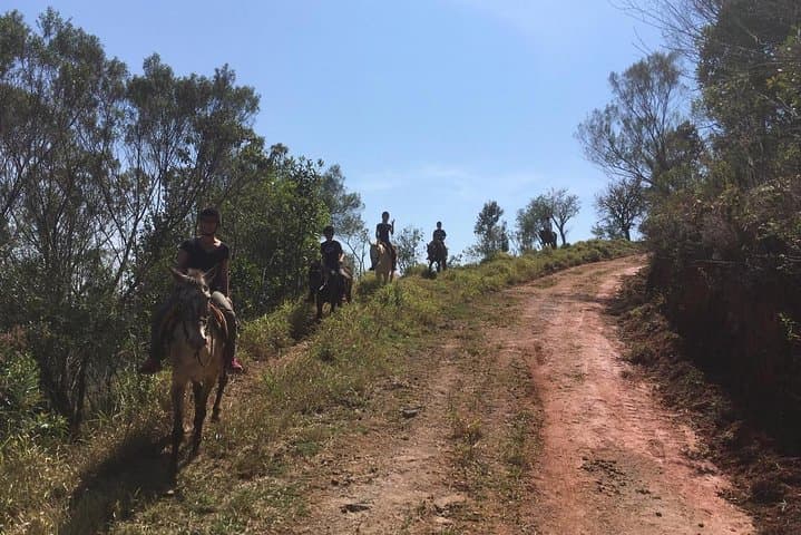 Horseback to the Belvedere: Private Picnic & Transfer from Paraty photo 6