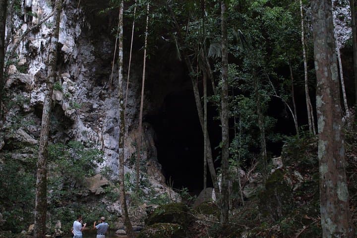 Full-Day Mountain Pine Ridge Tour from San Ignacio — Rio Frio, Rio On Pools & Big Rock Falls photo 3