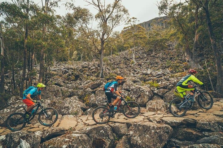 Kunanyi / Mt Wellington Explorer Bus: Summit Shuttle and Self-Guided Hike or Bike from Hobart photo 2