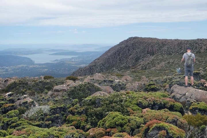 Kunanyi / Mt Wellington Explorer Bus: Summit Shuttle and Self-Guided Hike or Bike from Hobart photo 4