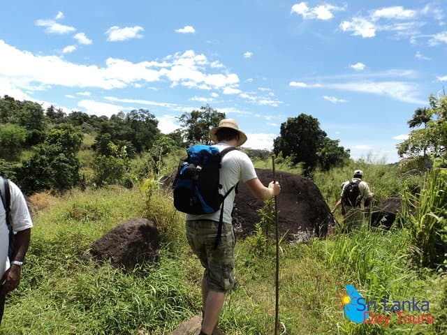 Birdwatcher's Quest: Hanthana Mountain Range Trek from Kandy