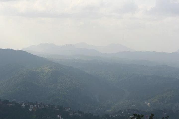 Birdwatcher's Quest: Hanthana Mountain Range Trek from Kandy photo 5