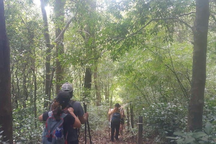 Full-Day Private Trek of Angkor's World Heritage Temples photo 3