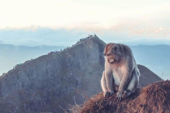 Mt Batur Sunrise Trek: Bali Volcano Hike with Summit Breakfast photo 4