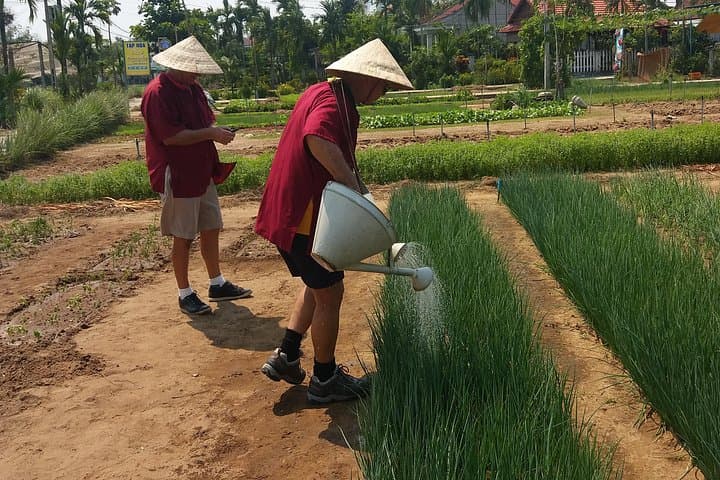 Tra Que Farming & Cooking Class — Hoi An Morning at the Herb Village photo 1