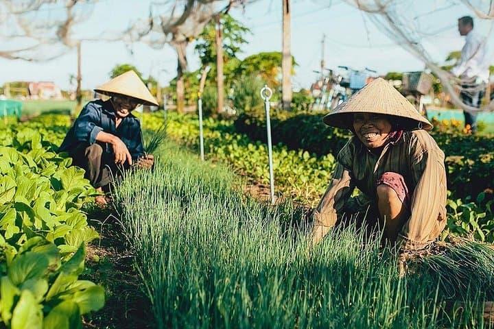 Tra Que Farming & Cooking Class — Hoi An Morning at the Herb Village photo 3