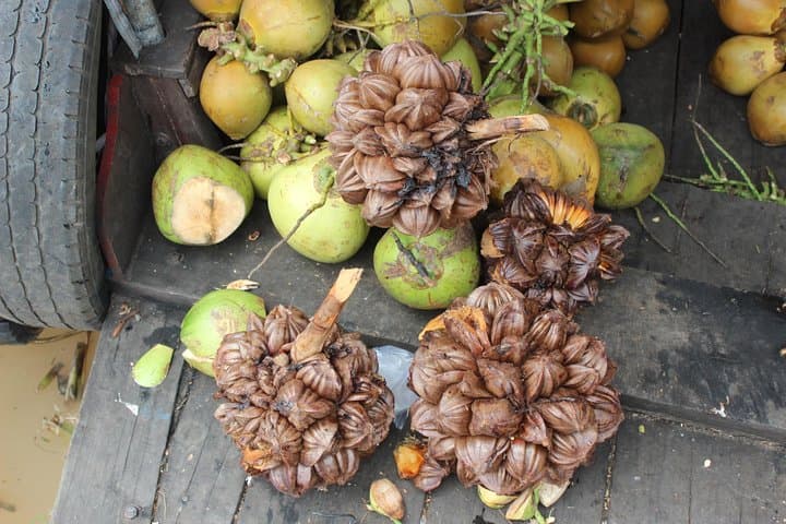 Mekong Delta Shore Excursion — Discover Local Life, River Villages & Orchard Lunch photo 5