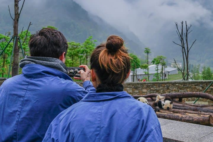Volunteer at Wolong Panda Base: One-Day Panda Care Experience from Dujiangyan photo 3